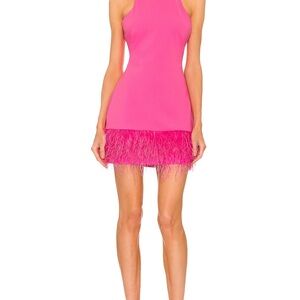 Elegant Pink Feather-Trim Dress